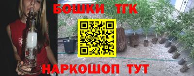 гашик Можайск