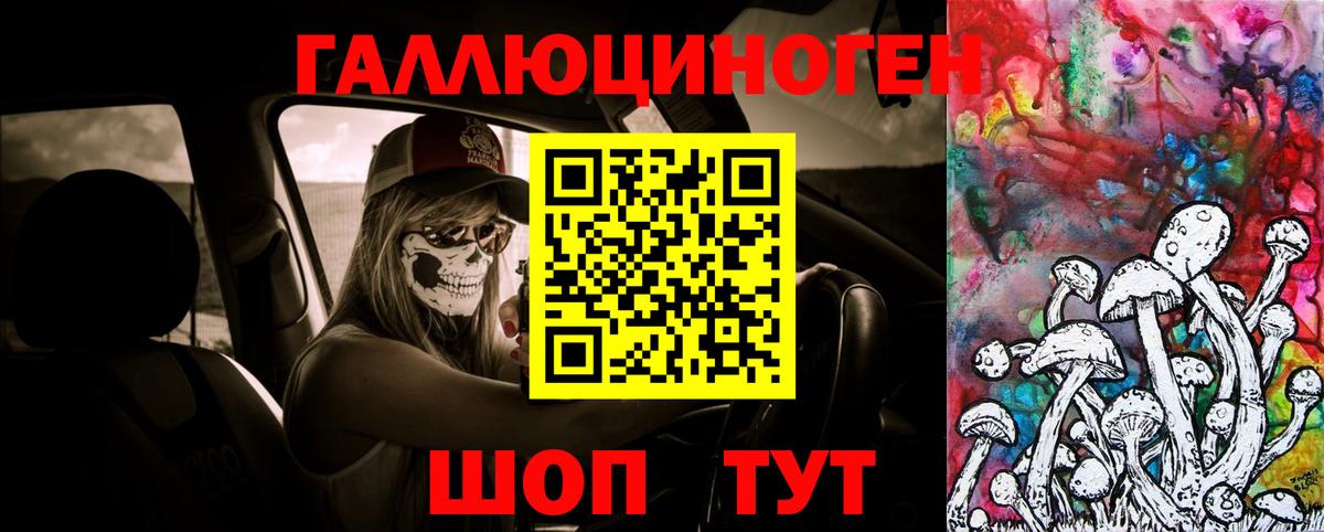 Галлюциногенные грибы Cubensis Владикавказ