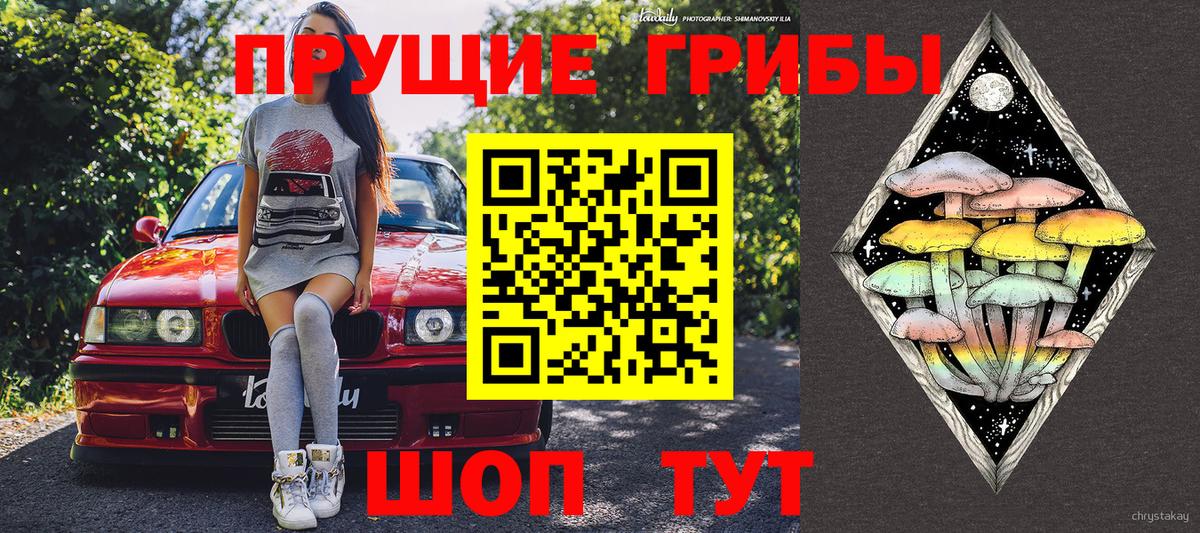 Владикавказ  Псилоцибиновые грибы Psilocybine cubensis  Псилоцибиновые грибы GOLDEN TEACHER  Вход с VPN 